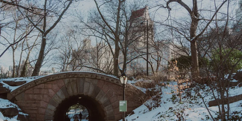 Boating on Central Park’s iconic lake with Bow Bridge in the background