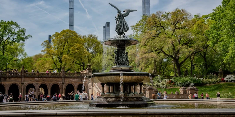 People relaxing on the Great Lawn in Central Park NYC on a sunny day