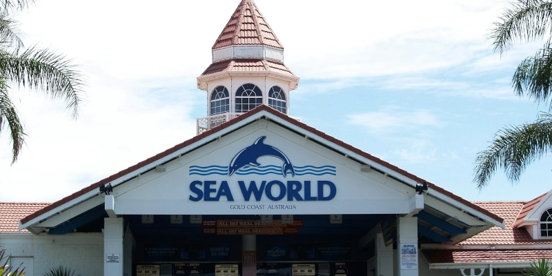 Close-up of a sea lion interacting with a trainer at SeaWorld Orlando